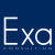 Exa consulting